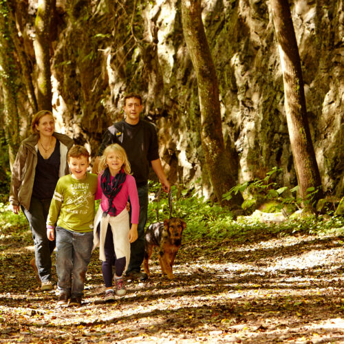 Familie wandert im Wald